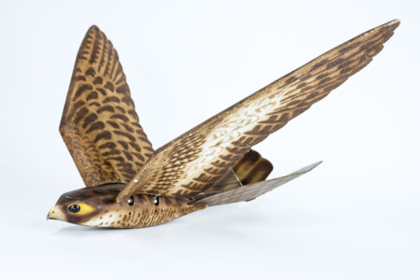 Drone bird